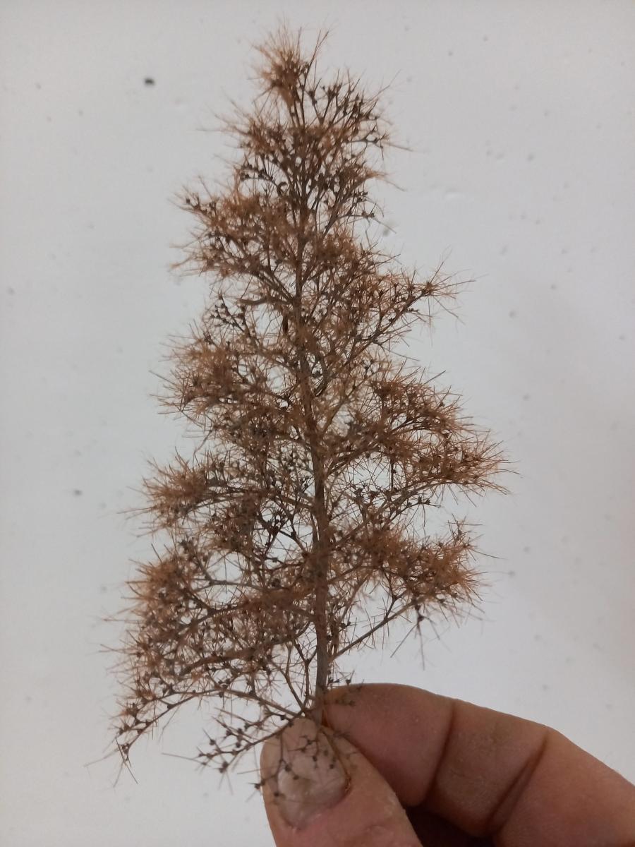 Workshop_Ackle_25 (13)